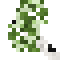 Birch Twig