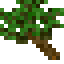 Jungle Twig