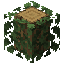 Avocado Leaves Logged