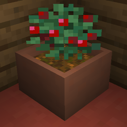 Botany Pots
